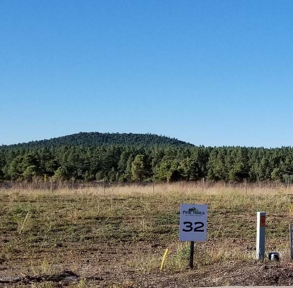 Williams, AZ 86046,263 N Morse Avenue #Lot 23