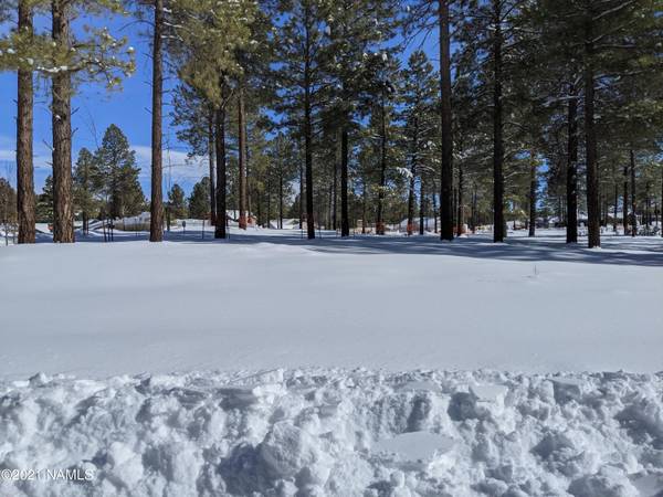 Flagstaff, AZ 86001,3615 W Modus Lane #27