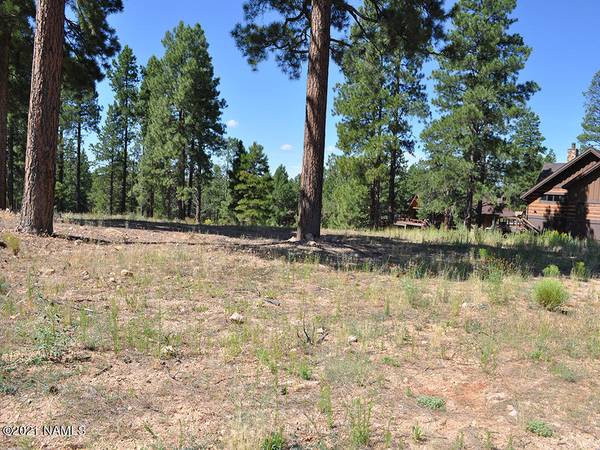 Flagstaff, AZ 86005,2477 S Pinyon Jay Drive