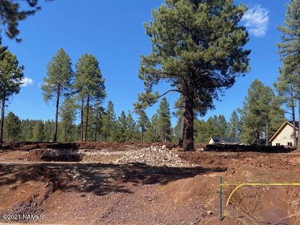 Flagstaff, AZ 86001,3646 W Modus Lane #19