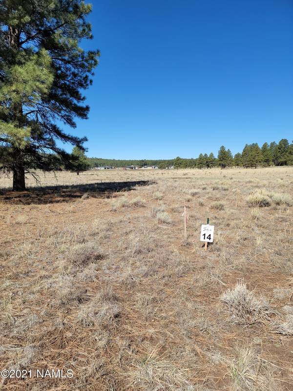 Williams, AZ 86046,58 Birdie Circle