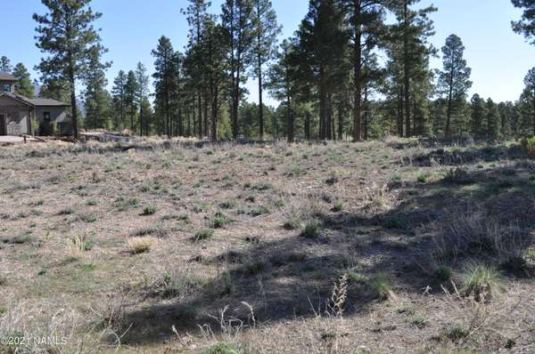 Flagstaff, AZ 86005,2993 S Tourmaline Drive #34