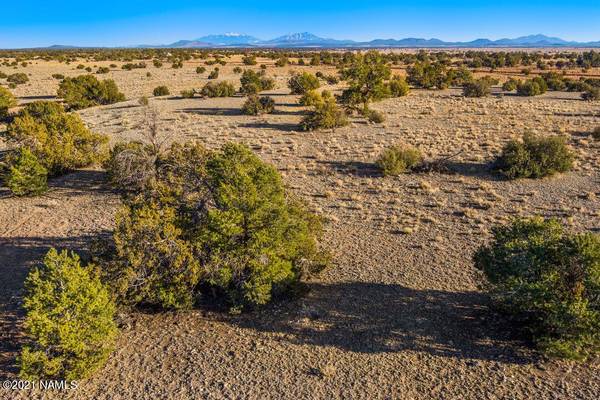 Williams, AZ 86046,1124 N Grand Canyon Ranches Lot C Road