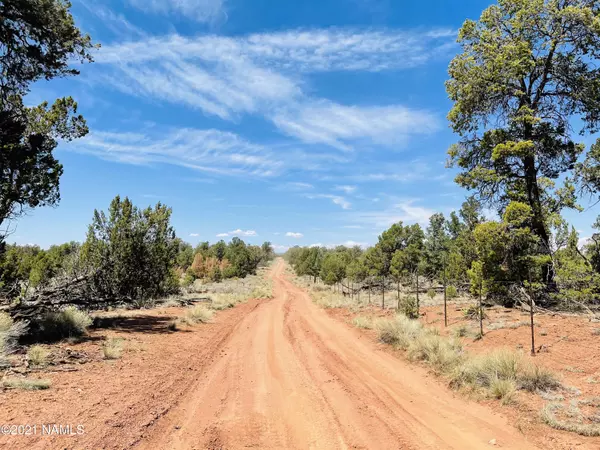 Williams, AZ 86046,5128 N Bull Run Lot A Road