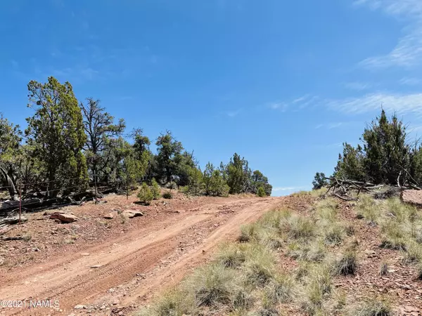 Williams, AZ 86046,5128 N Bull Run Lot A Road