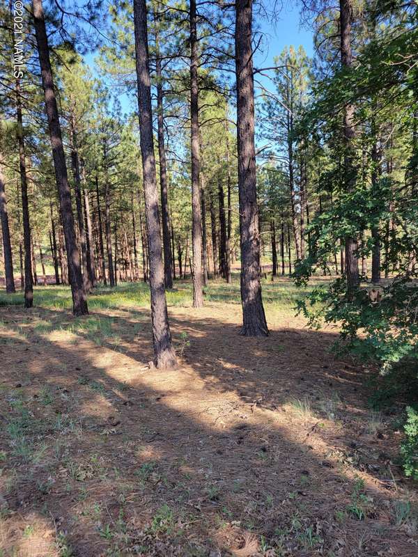 Flagstaff, AZ 86005,4795 S Flagstaff Ranch Road #112