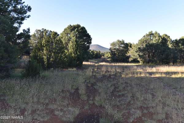 Williams, AZ 86046,7122 S Audrey Way