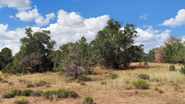 Williams, AZ 86046,10448 S Rim Ranch Road #354