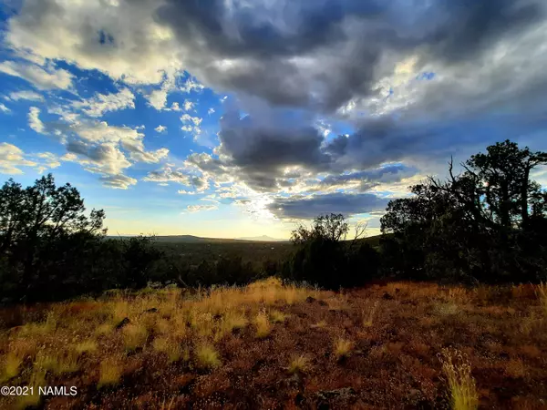 Ash Fork, AZ 86320,1082 W Picacho Drive