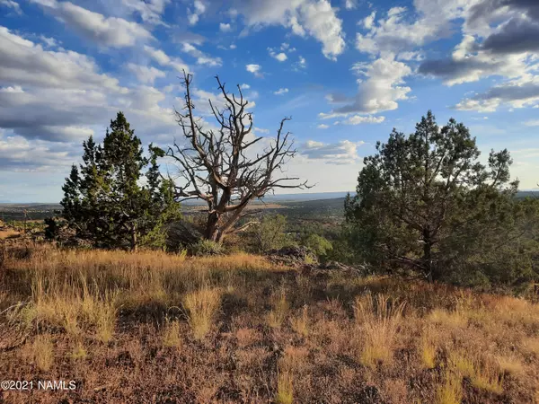 Ash Fork, AZ 86320,1082 W Picacho Drive