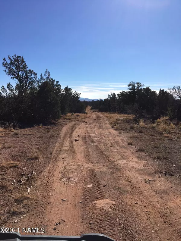 Williams, AZ 86046,4103 N Downpour Row