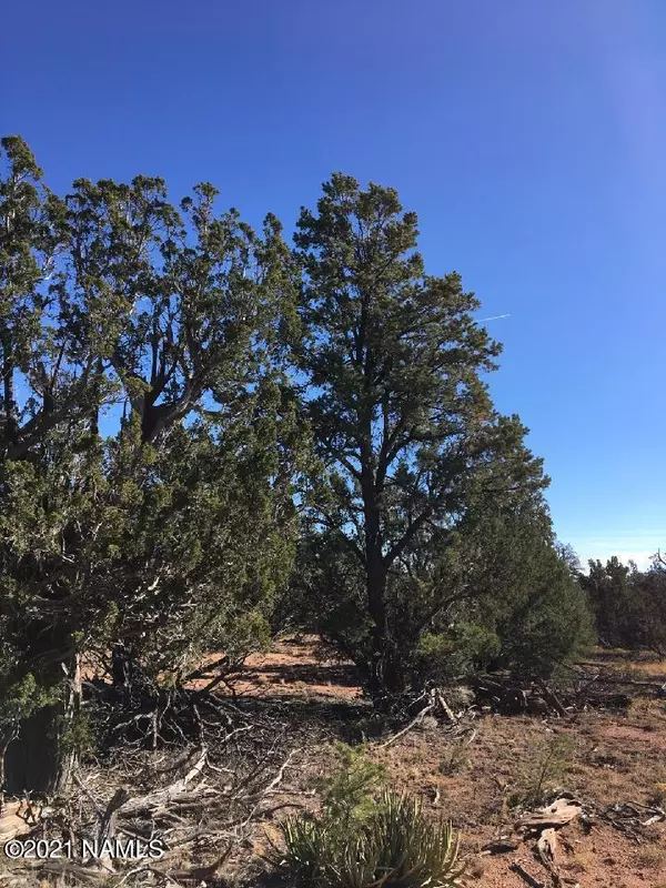 Williams, AZ 86046,4103 N Downpour Row