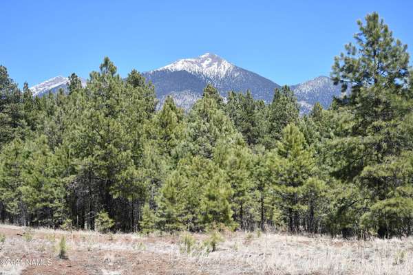 Flagstaff, AZ 86001,9449 Ranch At The Peaks Way #48