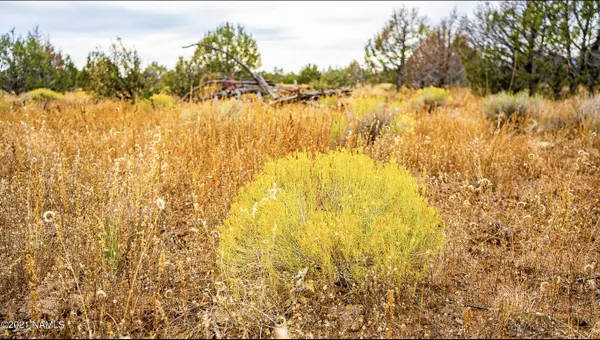 Ash Fork, AZ 86320,0 Lot 70, Westwood Ranches