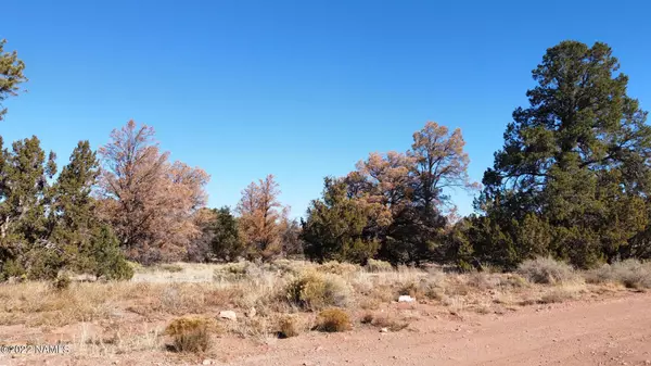 Williams, AZ 86046,6125 E Woodland Rch (20ac N)-Parcel 1