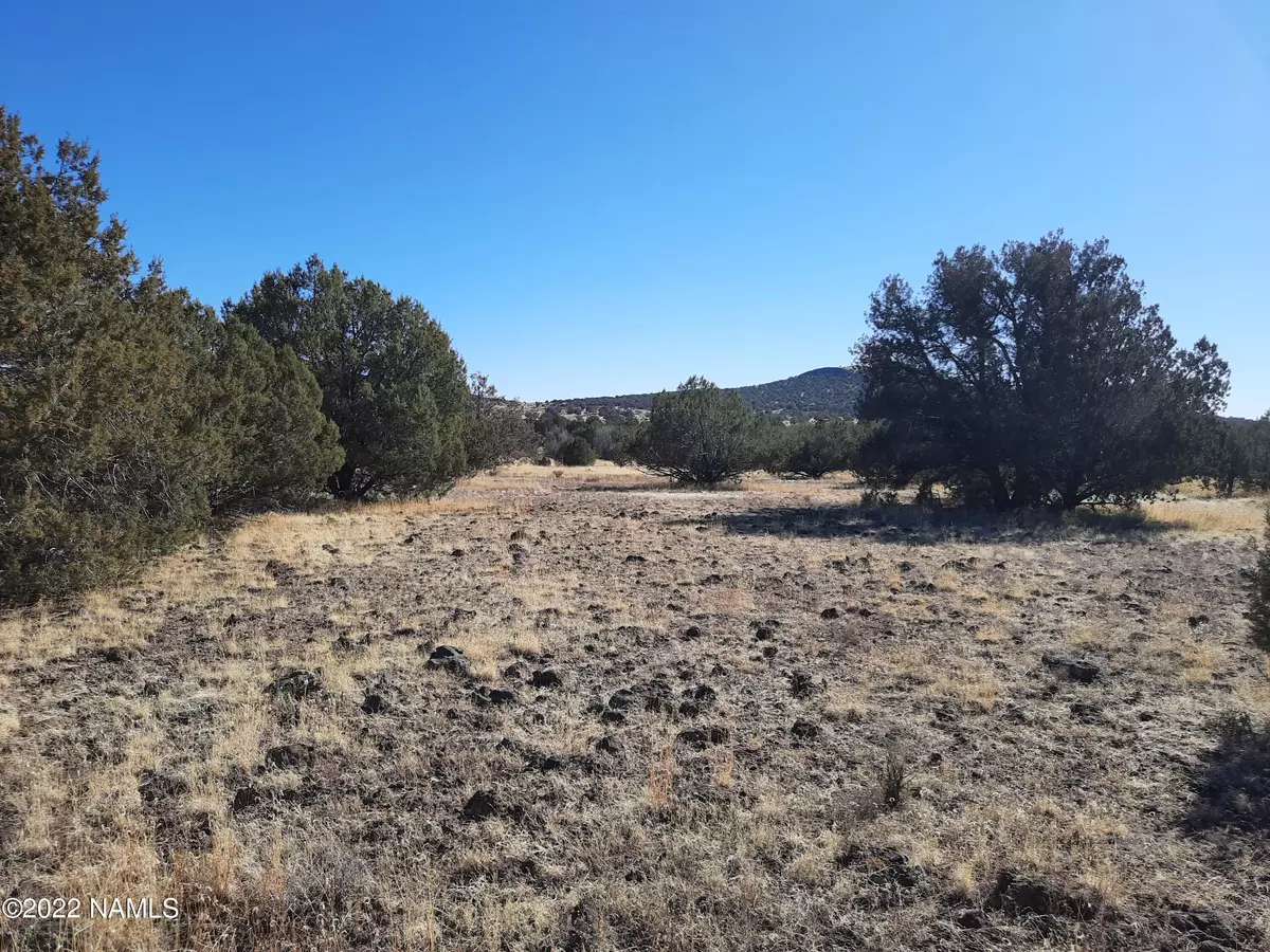 Ash Fork, AZ 86320,5291 N Park Avenue #271