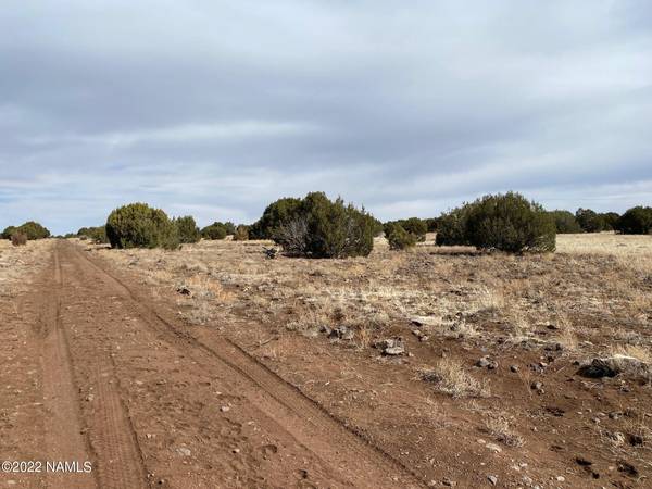 Williams, AZ 86046,391 Flat Tank Road