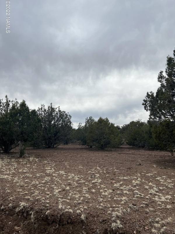 Williams, AZ 86046,0 Westwood Ranch Lot 1083b