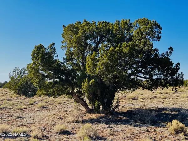 Williams, AZ 86046,4117 Red Butte Lot A Road