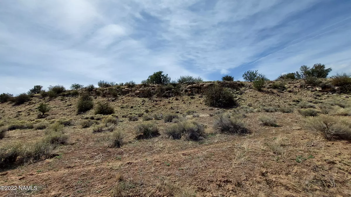 Williams, AZ 86046,6585 Black Burro Loop #725