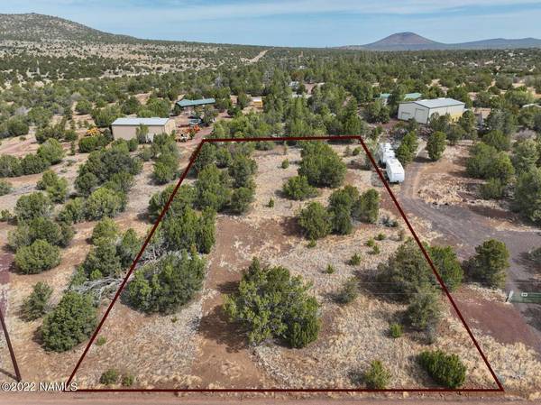 Williams, AZ 86046,73 E Tall Tree Street #566