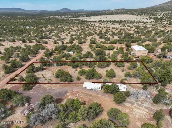 Williams, AZ 86046,73 E Tall Tree Street #566