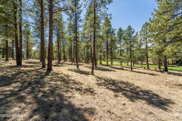 Flagstaff, AZ 86005,3671 S Woodland Hills Drive #364