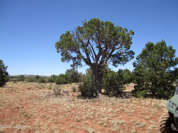 Williams, AZ 86046,7774 Lasso Loop