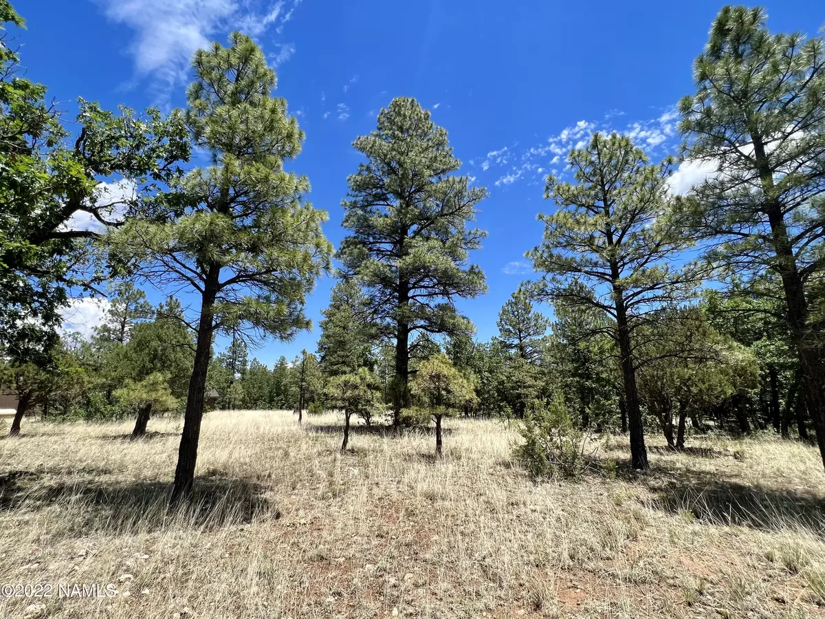 Happy Jack, AZ 86024,4453 Navajo Drive #358