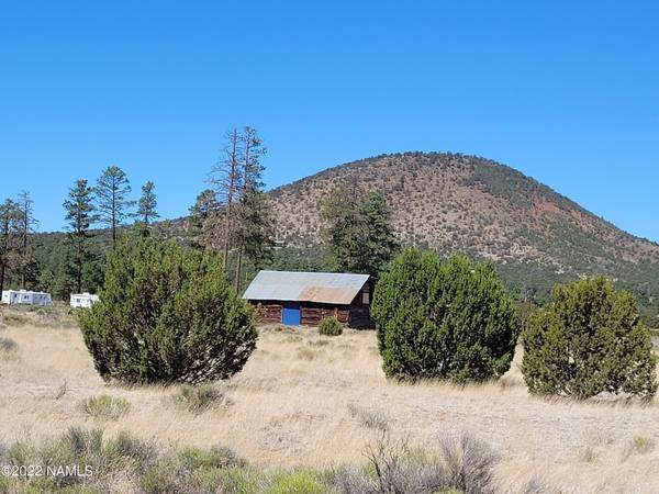 Williams, AZ 86046,7128 N Elk Run Trail #10