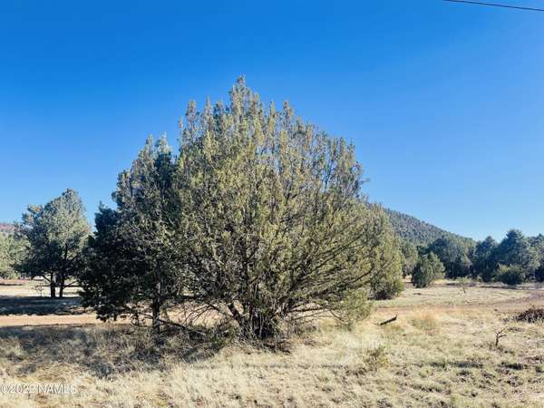 Williams, AZ 86046,1357 E Birchwood Drive