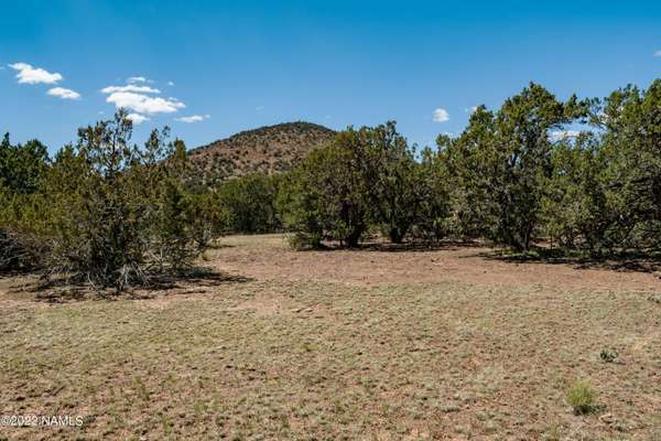 Williams, AZ 86046,9709 N Chaparral Lane