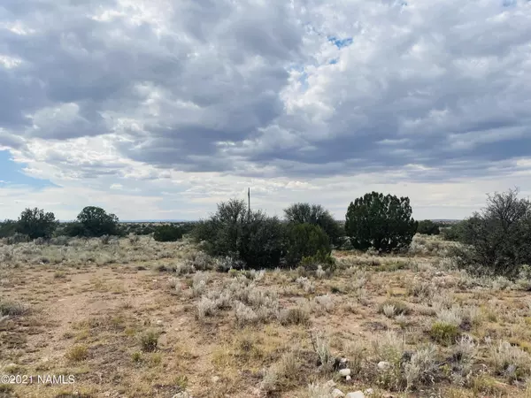 Williams, AZ 86046,4115 N State Route 64 Lot F