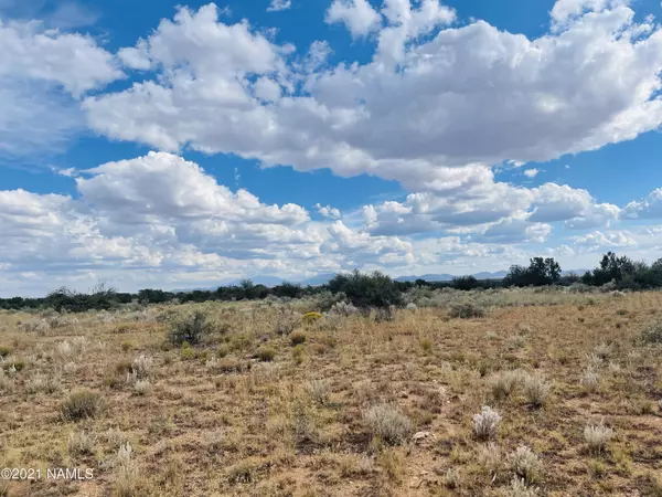 Williams, AZ 86046,4115 N State Route 64 Lot F