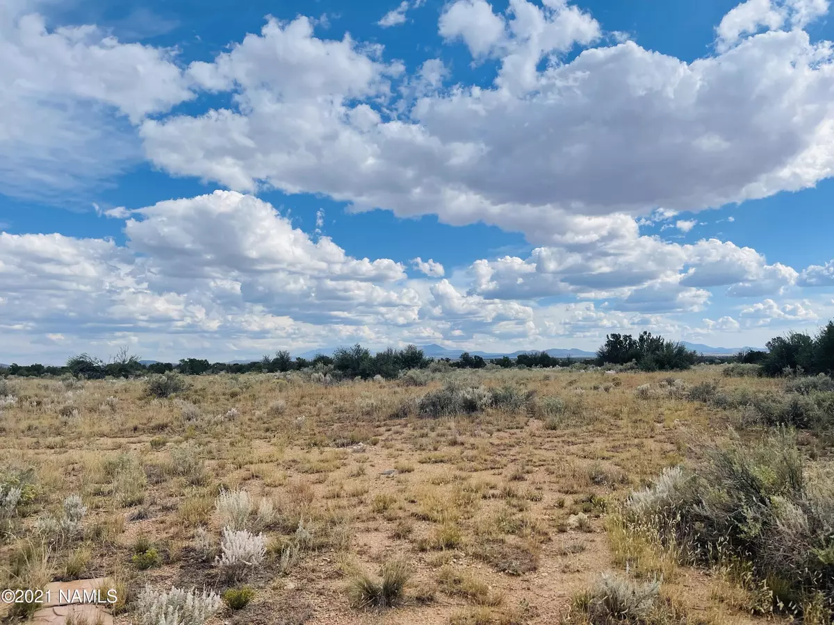 Williams, AZ 86046,4115 N State Route 64 Lot F