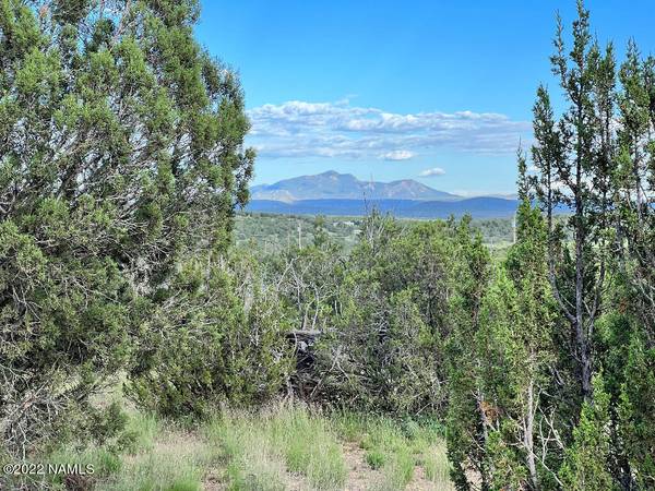 Williams, AZ 86046,1399 W Fairview Drive #574