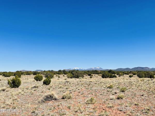 Williams, AZ 86046,6868 Lasso Loop #Lot B