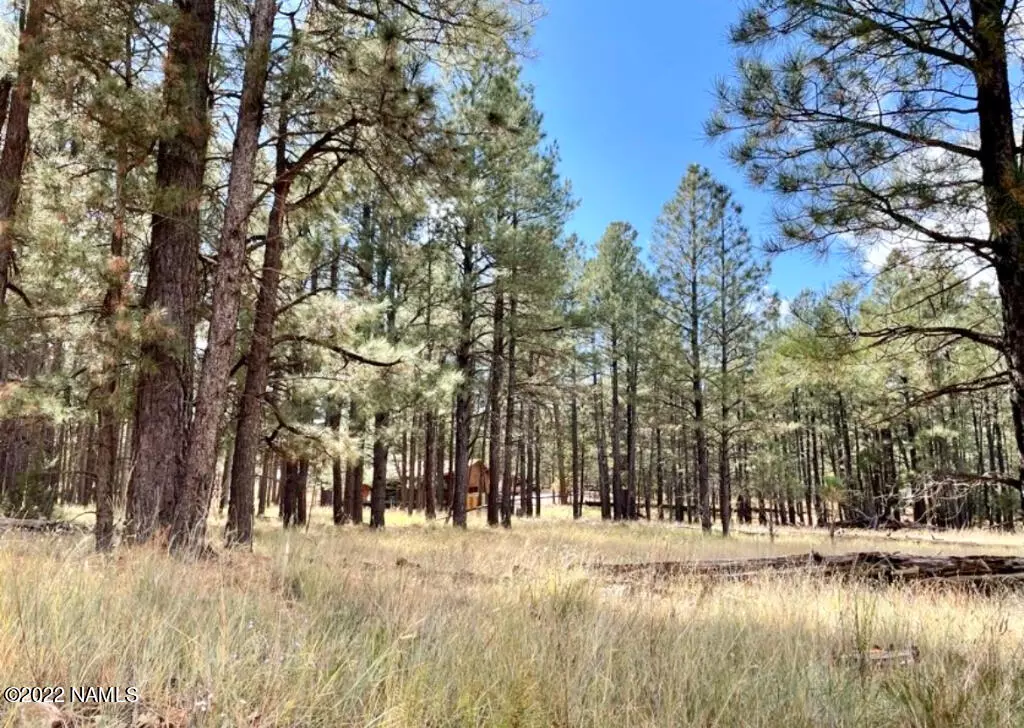 Happy Jack, AZ 86024,2378 Blue Ridge Drive