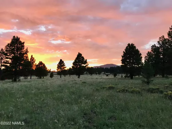 Parks, AZ 86018,4889 Forrest Ranches Loop