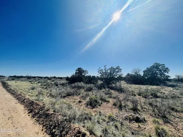 Williams, AZ 86046,5614 N Alta Villa Road #Lot A