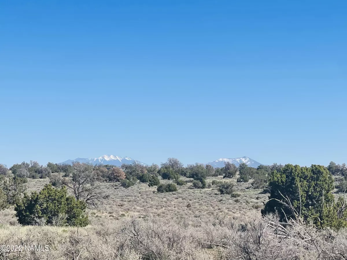 Williams, AZ 86046,5614 N Alta Villa Road #Lot A