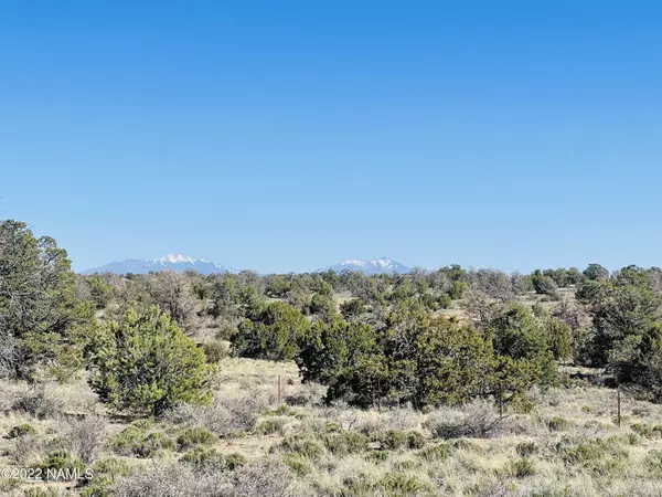 Williams, AZ 86046,5612 N Pleasant View Drive #Lot A-D