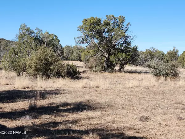 Ash Fork, AZ 86320,28 Duncan Dr