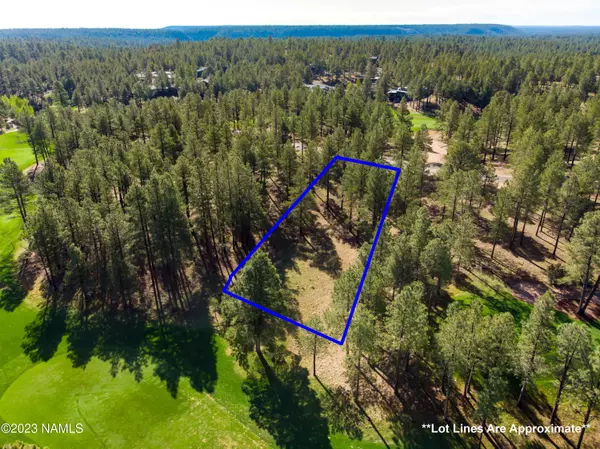 Flagstaff, AZ 86005,3631 S Woodland Hills- Lot 368 Drive