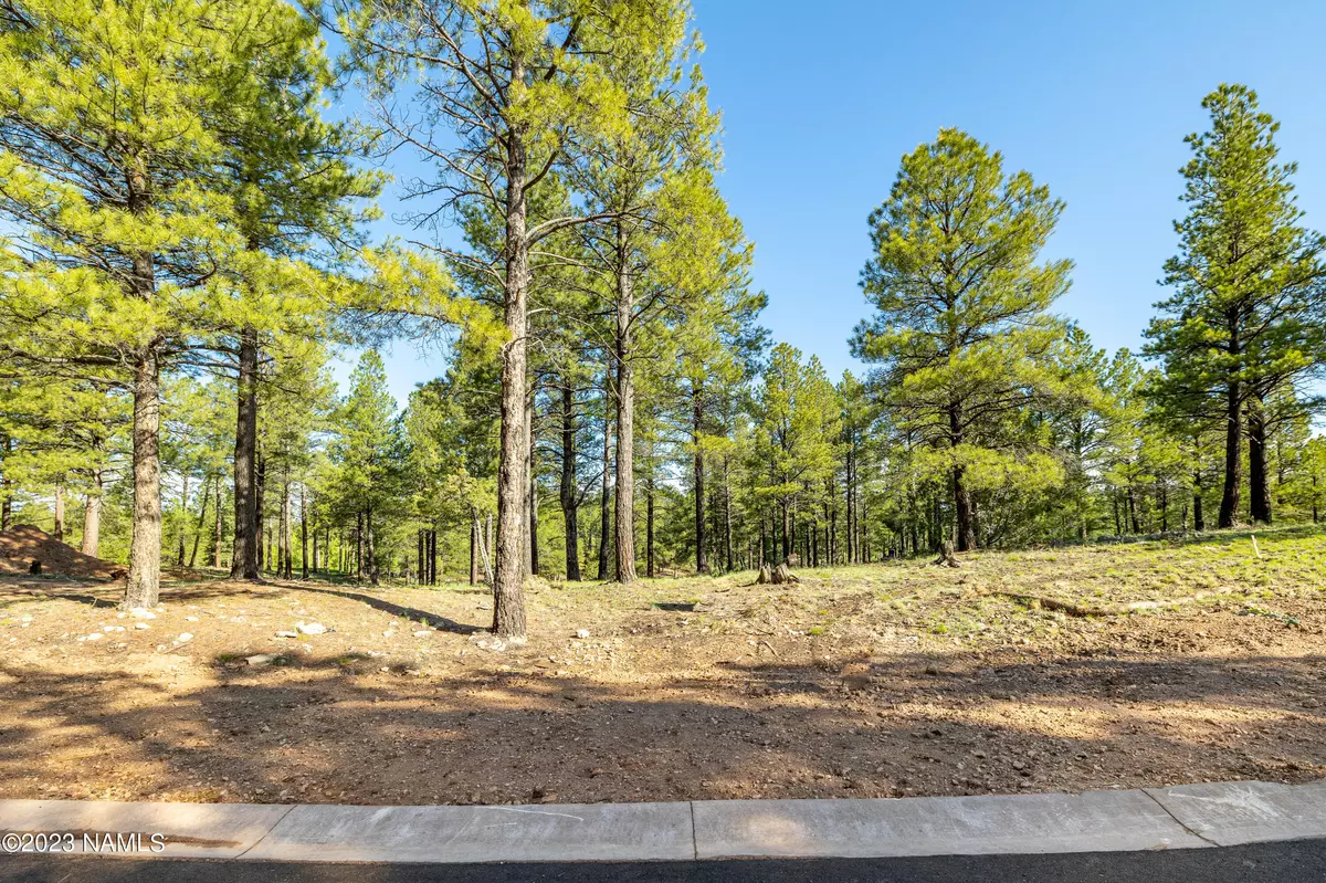 Flagstaff, AZ 86005,3631 S Woodland Hills- Lot 368 Drive