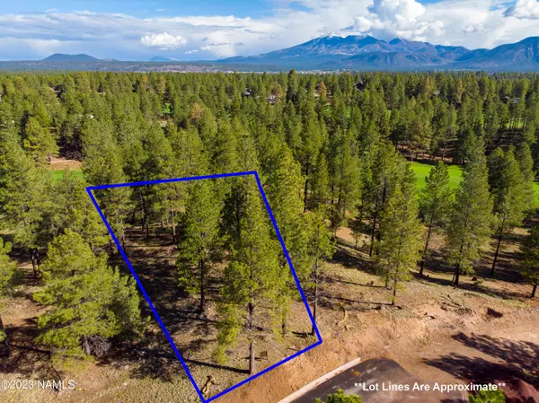 Flagstaff, AZ 86005,3631 S Woodland Hills- Lot 368 Drive