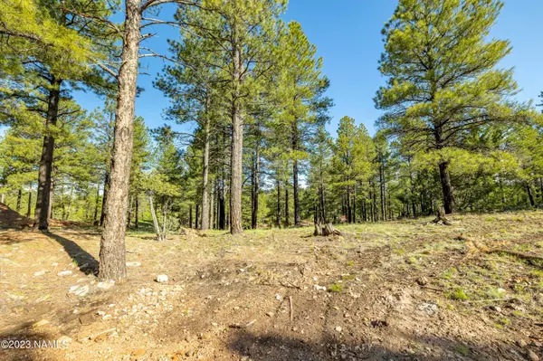 Flagstaff, AZ 86005,3631 S Woodland Hills- Lot 368 Drive