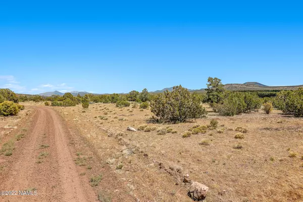 Williams, AZ 86046,1563 W Canvasback Trail