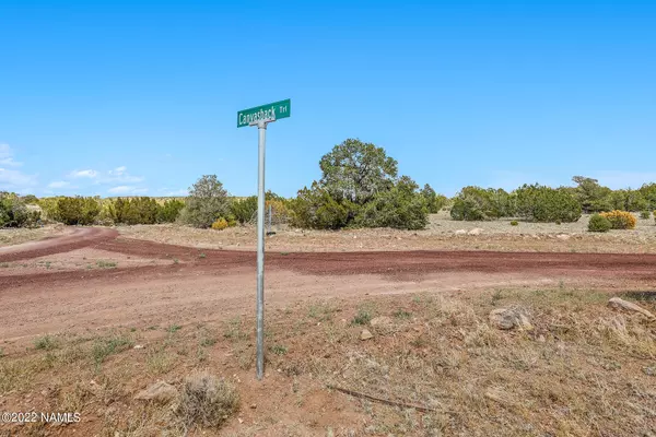 Williams, AZ 86046,1563 W Canvasback Trail