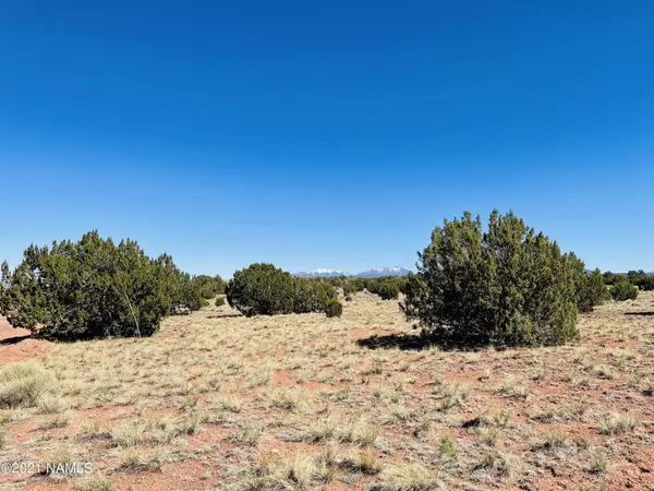 Williams, AZ 86046,6868 Lasso Loop #Lot A